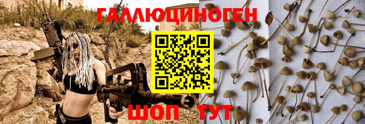 наркотики  Галлюциногенные грибы MAGIC MUSHROOMS  Вход с VPN  Серов 